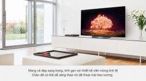 smart-oled-lg-4k-65-inch-65b1pta-010721-1122078_f614f17402b840f68add660980a4b0ef.jpg