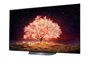 smart-oled-lg-4k-65-inch-65b1pta06_832c760dc3d948e3ba59986f6c672982.jpg